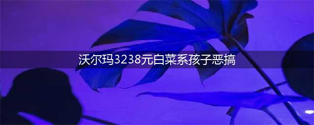 沃尔玛3238元白菜系孩子恶搞(沃尔玛3238元白菜系孩子恶搞)