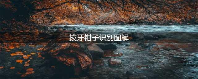 牙医干货丨9种常用拔牙钳图文讲解(拔牙钳子识别图解)