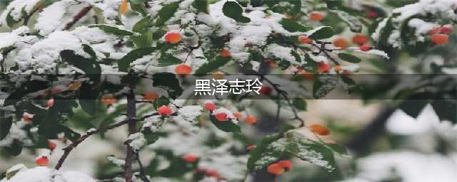 善恶终有报：黑泽志玲的婚姻困境成笑话(黑泽志玲)