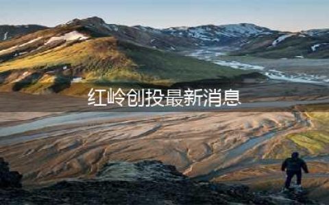 红岭创投迎来最新消息，周世平被判无期，出借人能收回多少？(红岭创投最新消息)