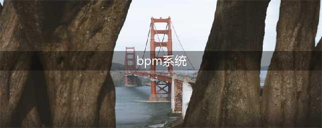 BPM是什么？BPM系统必备的特点有哪些？(bpm系统)