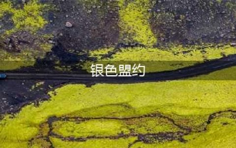 魔兽世界怀旧服wlk银色盟约的胜利任务在哪里接 银色盟约的胜利任务攻略