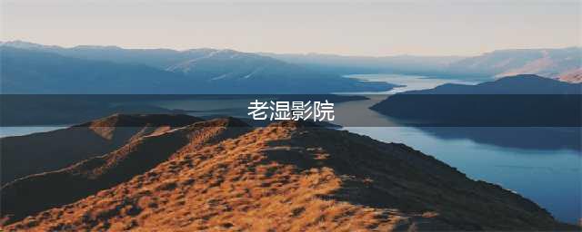 十大老司机必备的免费在线观影网站(老湿影院)