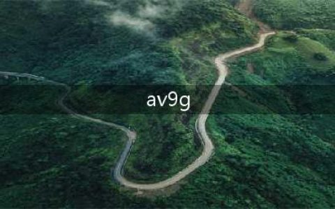 AAV9-Galns基因治疗关节软骨病变-飞凡检测(av9g)