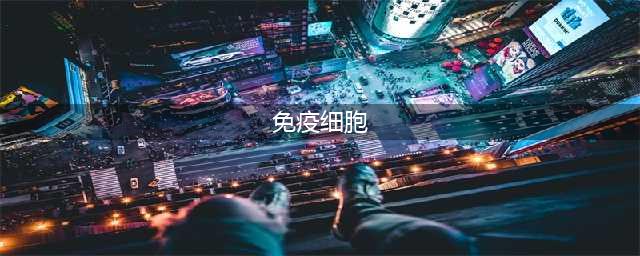 中科宝承成为干细胞与免疫细胞生产制备及质控技术标准企业(免疫细胞)