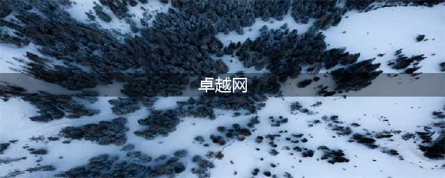 卓越网：雷军刻骨铭心的遗憾，卖掉它让雷军错失了整个互联网时代(卓越网)