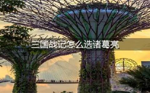 三国战记115怎么选诸葛亮 三国战记115选诸葛亮方法(三国战记怎么选诸葛亮)