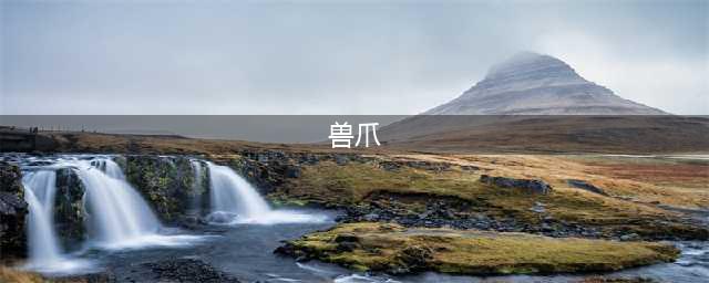《血源》兽爪在哪获得 兽爪获得地点分享(兽爪)