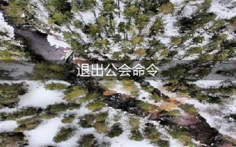 魔兽世界退出公会命令是什么 退出公会命令分享