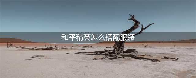 和平精英服装怎么搭配 服装搭配教学