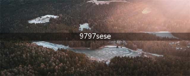 揭秘“66se”淫秽色情网站群的犯罪团伙【正文】(9797sese)