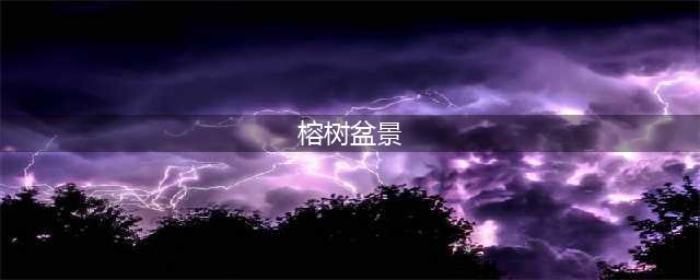 种植榕树盆景？看这一篇就够了！（详细的榕树盆栽方法与技巧）(榕树盆景)