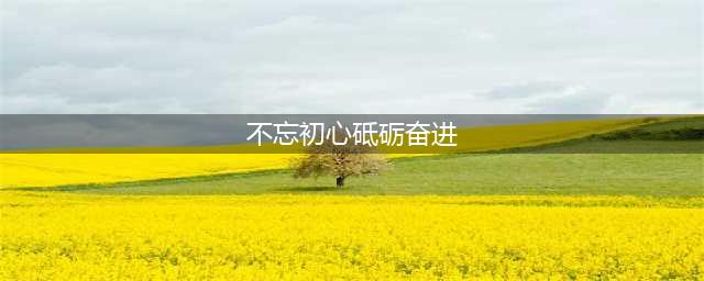 不忘初心，砥砺奋进(不忘初心砥砺奋进)