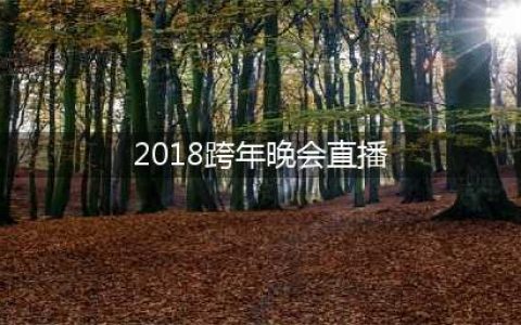 这几家拿到2018跨年晚会牌照的卫视都有哪些动作？(2018跨年晚会直播)
