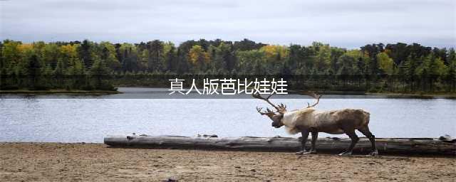 盘点世界上十大真人芭比娃娃 堪称绝色(真人版芭比娃娃)