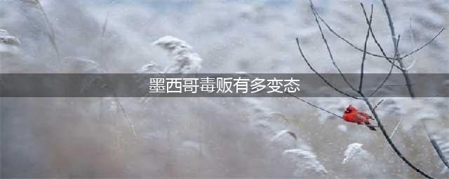 墨西哥毒贩武装有多变态？清一色美式武器，军队也要惧三分(墨西哥毒贩有多变态)