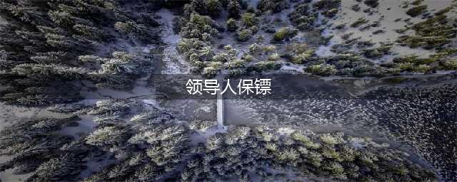 领导人保镖！个个身怀绝技！又美又帅！(领导人保镖)