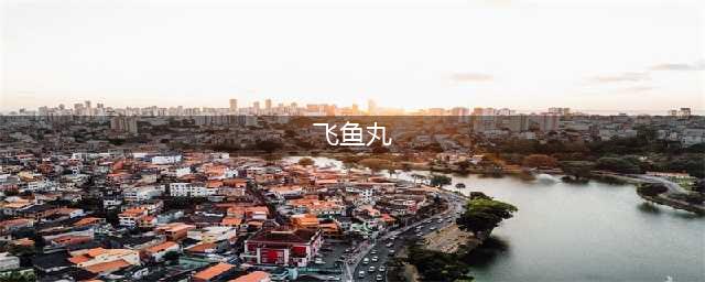 飞鱼丸配方如何获取(飞鱼丸)