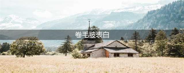 最努力的小三是什么结局？(卷毛被表白)