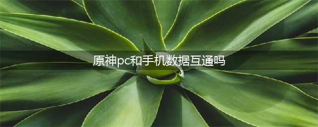 《原神》PC和手机数据互通吗 PC和手机数据互通说明