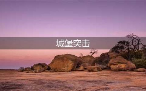 《暴行》图文攻略 兵种职业详解全流程图文攻略(城堡突击)