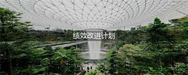 绩效改进计划（PIP）五步法(绩效改进计划)