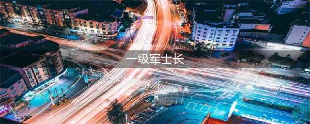 从“列兵”晋升到“一级军士长”需要多久? 真正的“兵王”!(一级军士长)