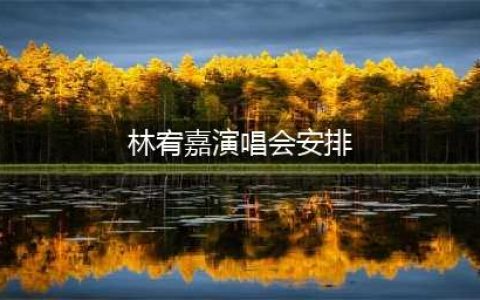 林宥嘉 idol 2023世界巡回演唱会11月双城定档，郑州站/长沙站！(林宥嘉演唱会安排)