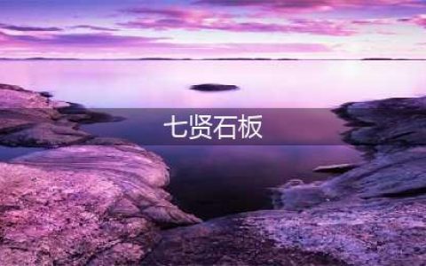 《魔兽世界怀旧服》七贤石板在哪 七贤石板位置介绍(七贤石板)