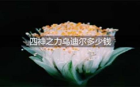 lol符文之地乌迪尔形象曝光 四神之力获得更新(四神之力乌迪尔多少钱)