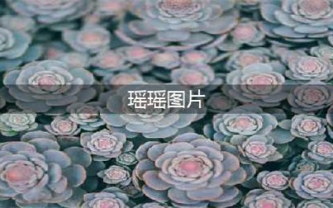 《原神》瑶瑶角色形象立绘图片