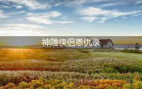 神雕侠侣2恩仇录篇介绍 恩仇录过关技巧(神雕侠侣恩仇录)