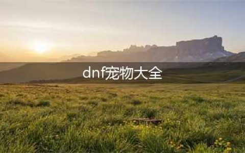 《dnf》全宠物属性一览汇总 大飞空时代宠物属性是什么(dnf宠物大全)
