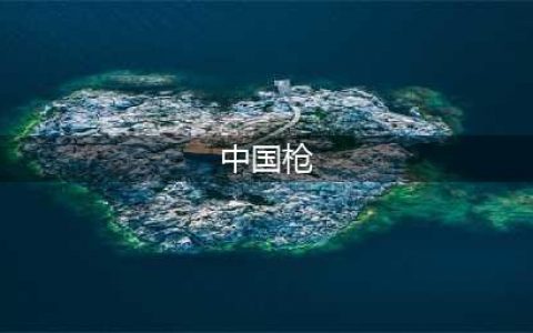 从上世纪到现代，中国的15大国产名枪(中国枪)