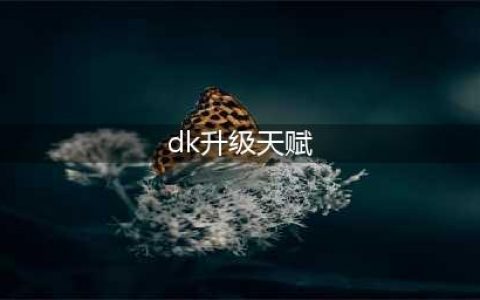 《魔兽世界》WLK战士圣骑DK野外升级天赋推荐