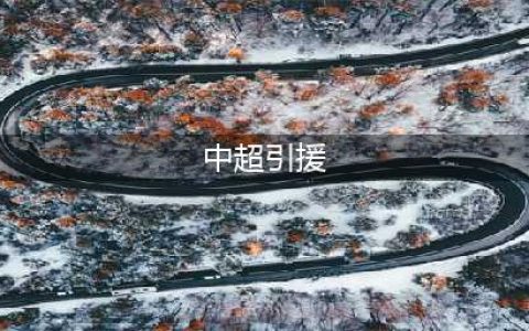 盘点中超球队引援大动作，哪支球队引援最给力？(中超引援)
