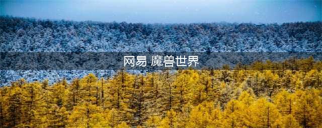 《魔兽世界》8.0可以使用网易账号登录吗 网易账号登录方法介绍(网易 魔兽世界)