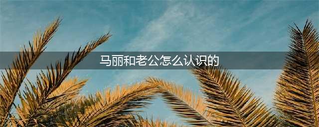 “麻花一姐”马丽和小11岁的老公，两人是如何走到一起的(马丽和老公怎么认识的)