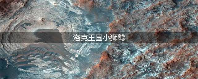 《洛克王国》超威狮鹫性格及技能搭配推荐(洛克王国小狮鹫)