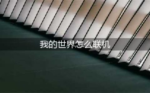 《我的世界手机版》双人联机方法 怎么联机(我的世界怎么联机)