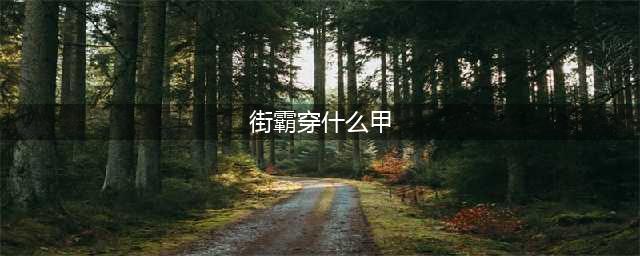 《DNF》100男街霸穿什么装备好 100男街霸毕业装备搭配推荐(街霸穿什么甲)