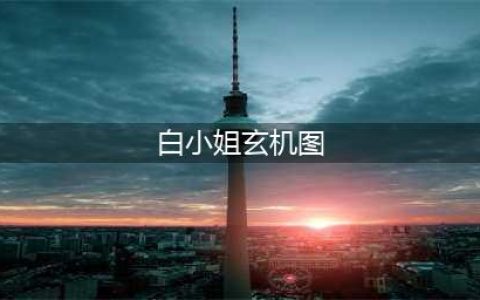 海南彩票第一人"白小姐"，她的故事究竟有多传奇?(白小姐玄机图)