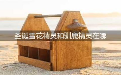 《DNF》最新圣诞雪花精灵/驯鹿精灵位置 圣诞糖果怎么刷最快(圣诞雪花精灵和驯鹿精灵在哪)