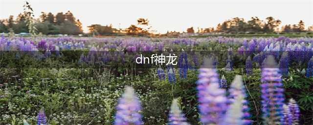 dnf龙神是什么职业