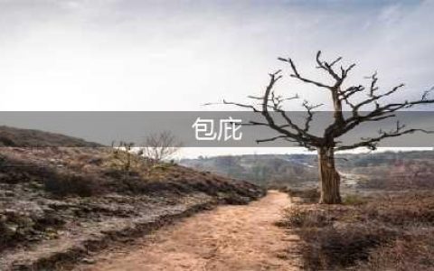 中新网：扬科维奇称国足运气不好有失偏颇，黎巴嫩队运气更差(包庇)