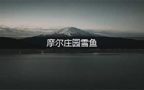 《摩尔庄园》雪鱼位置一览 雪鱼在哪