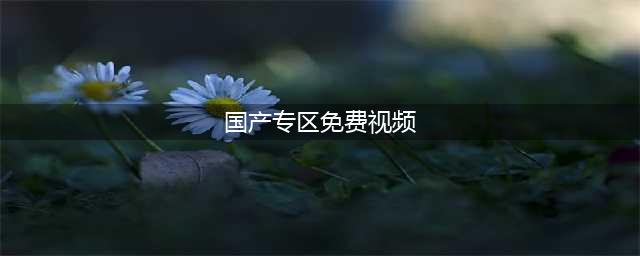 老司机必备的十大免费在线观影网站(国产专区免费视频)