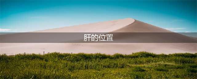肝区疼痛、不适，可能是这5种情况！该做什么检查？医生告诉你(肝的位置)