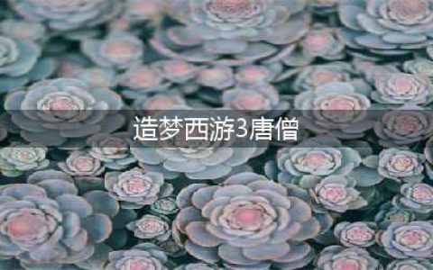 《造梦西游3》唐僧刷图攻略 配招技巧分享(造梦西游3唐僧)