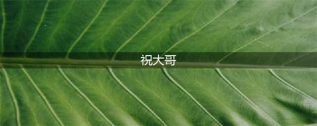 祝大哥顺口溜(祝大哥)